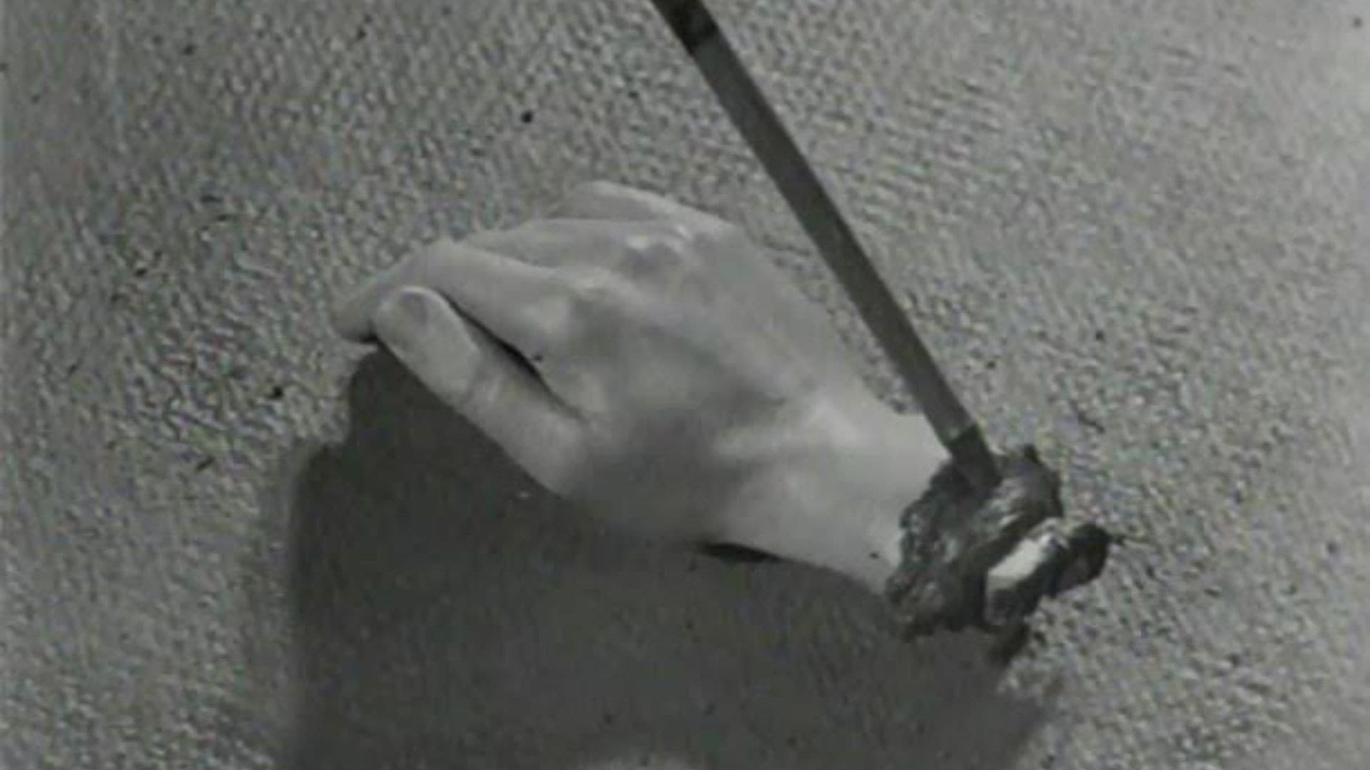 Un chien andalou - immagine