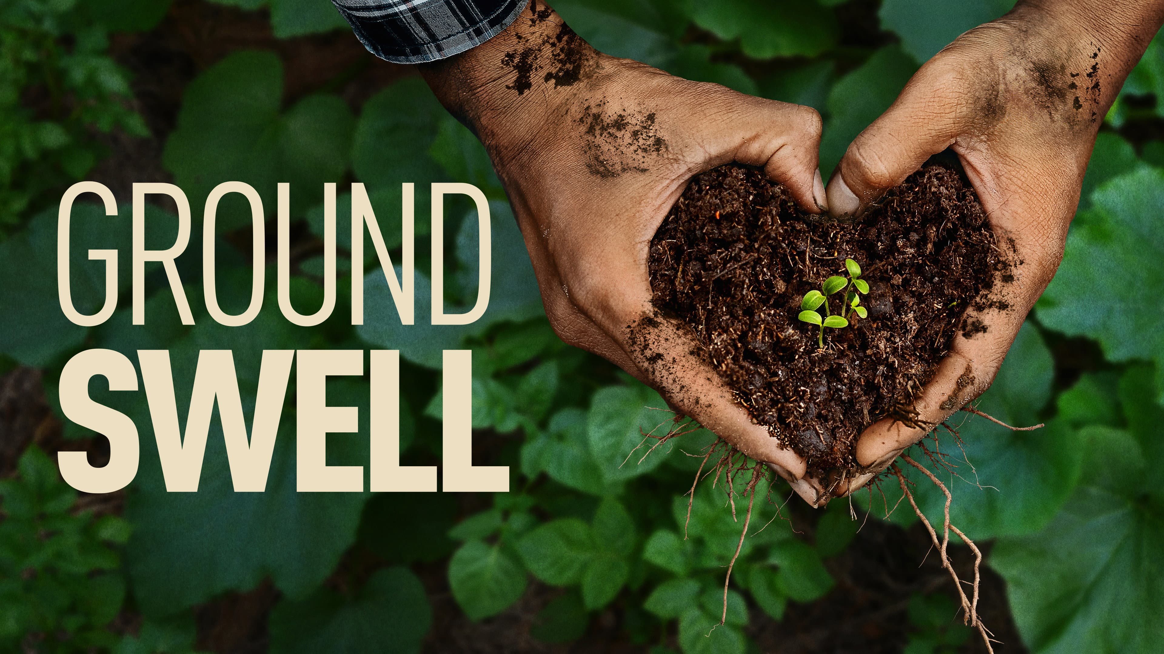 Groundswell - immagine