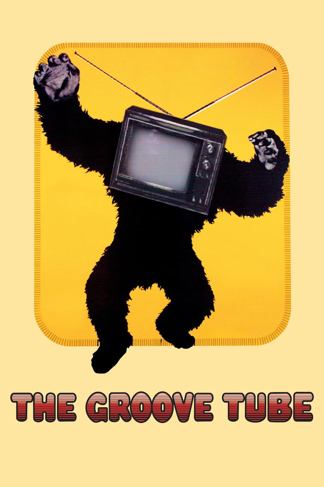 Poster di The Groove Tube
