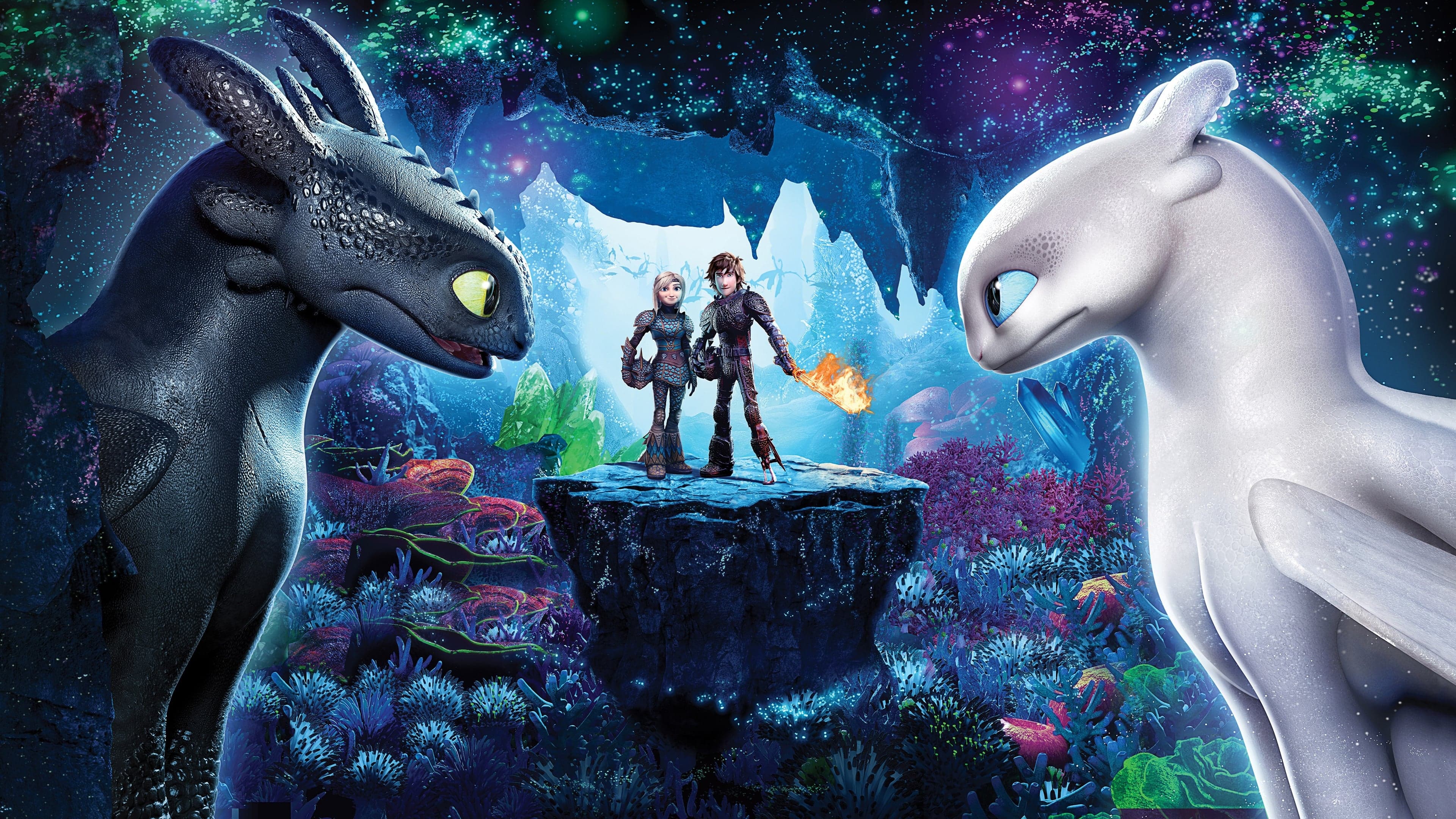 Dragon Trainer - Il mondo nascosto - immagine