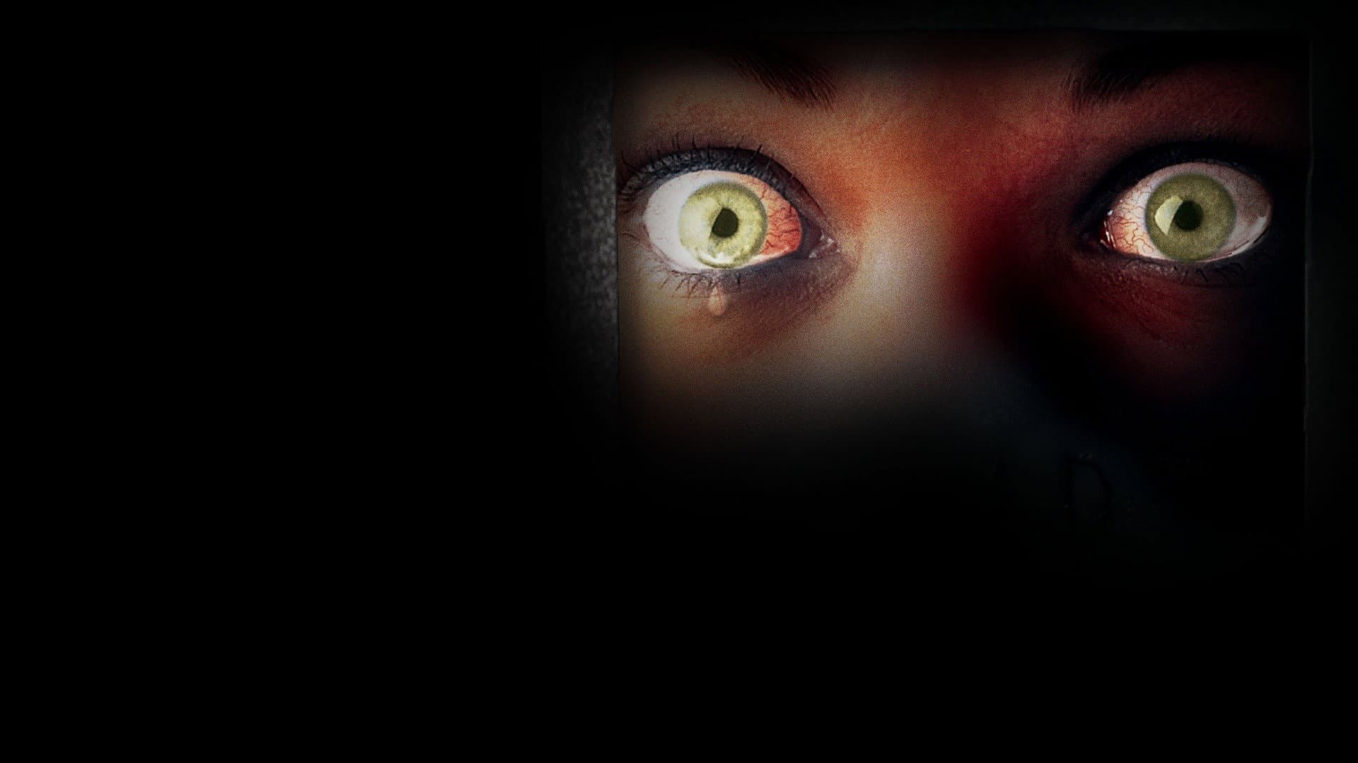 Asylum Days - immagine
