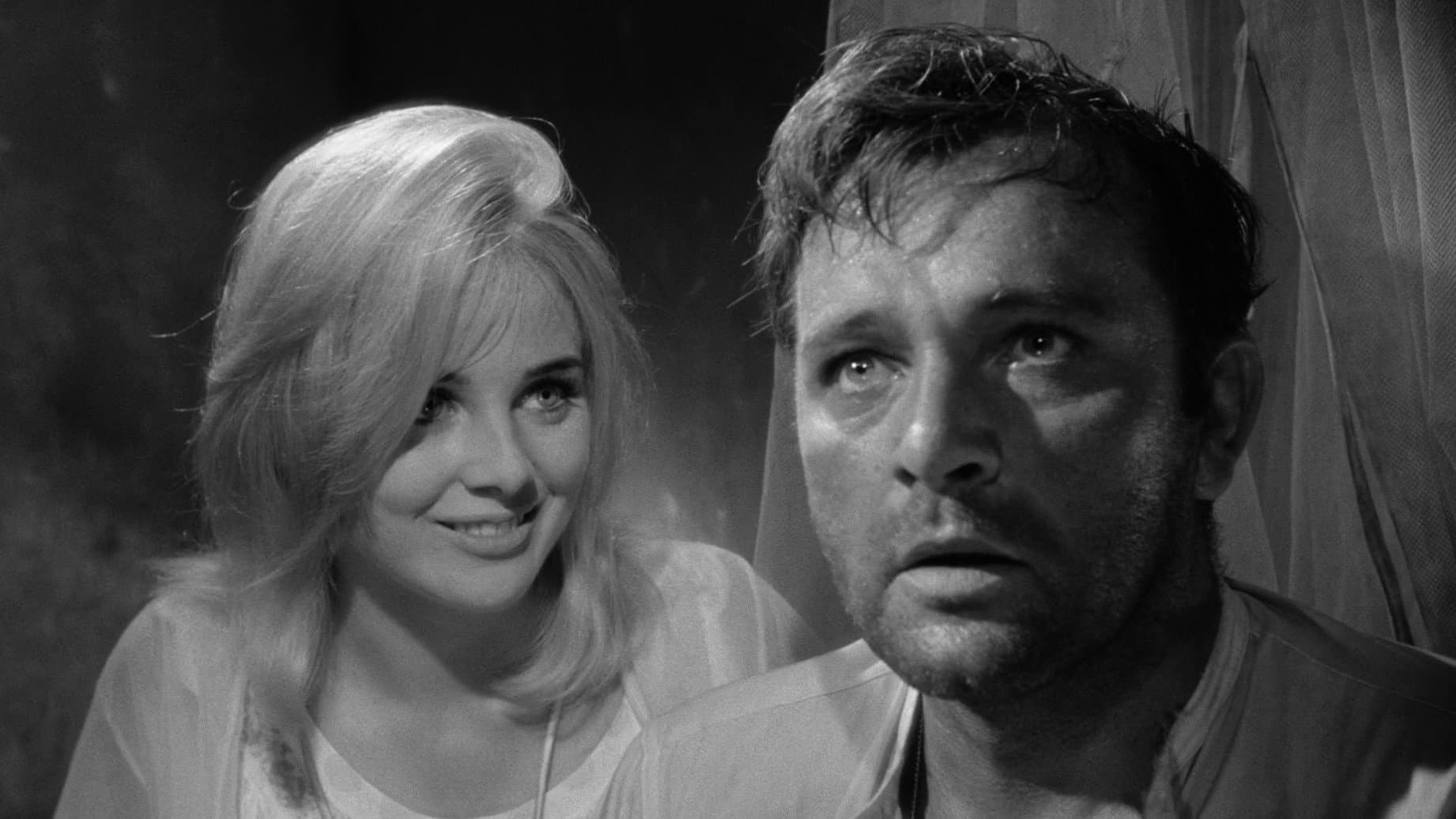 La notte dell'iguana - immagine