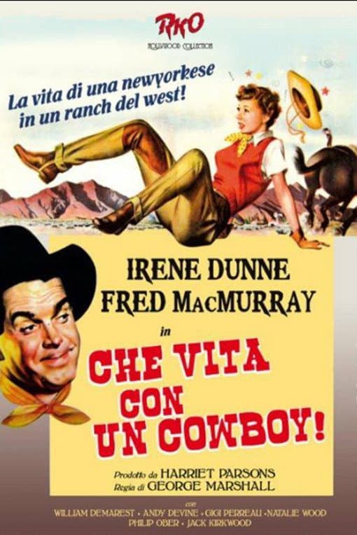 Poster di Che vita con un cow boy!