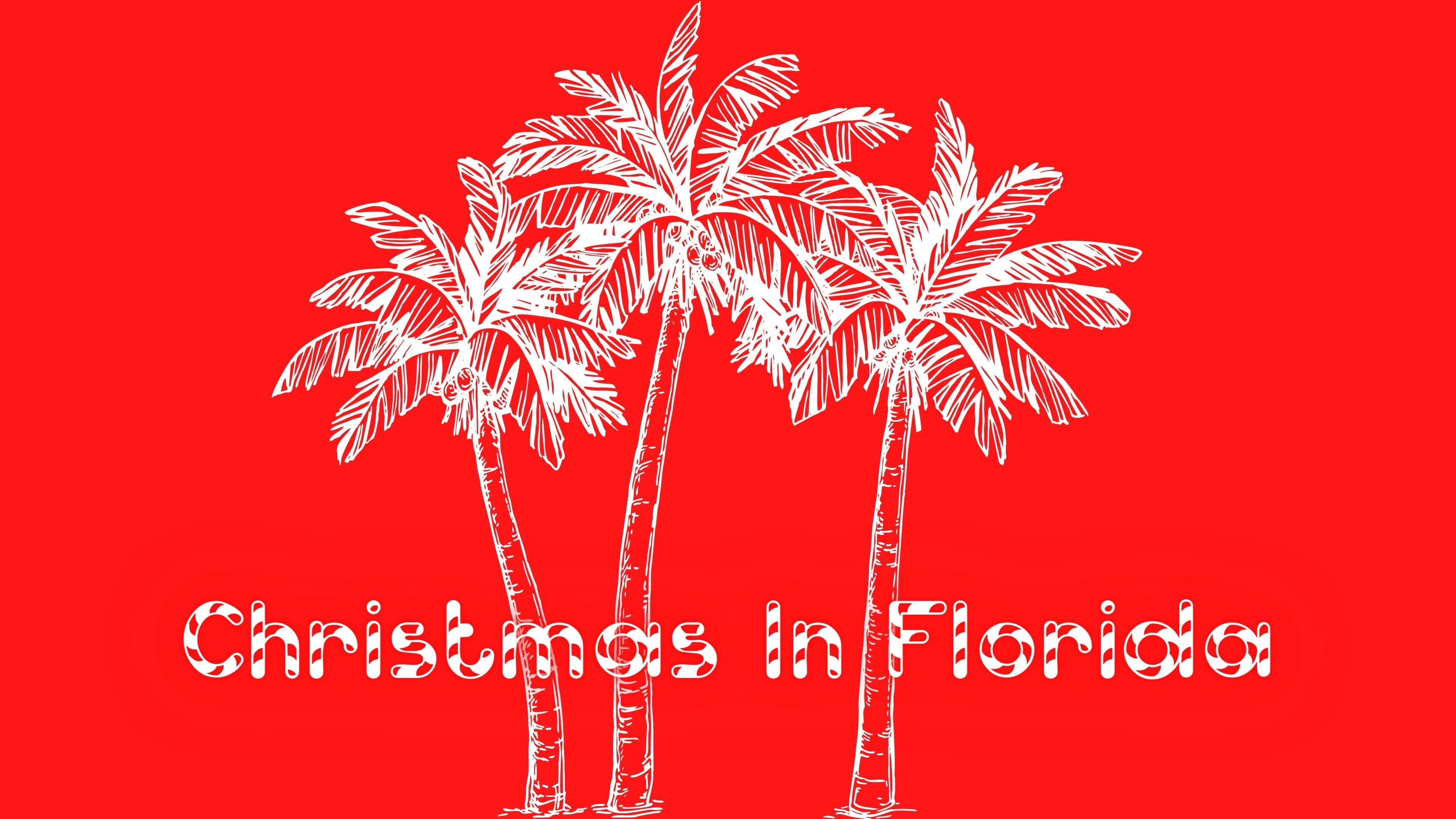 Christmas In Florida - immagine