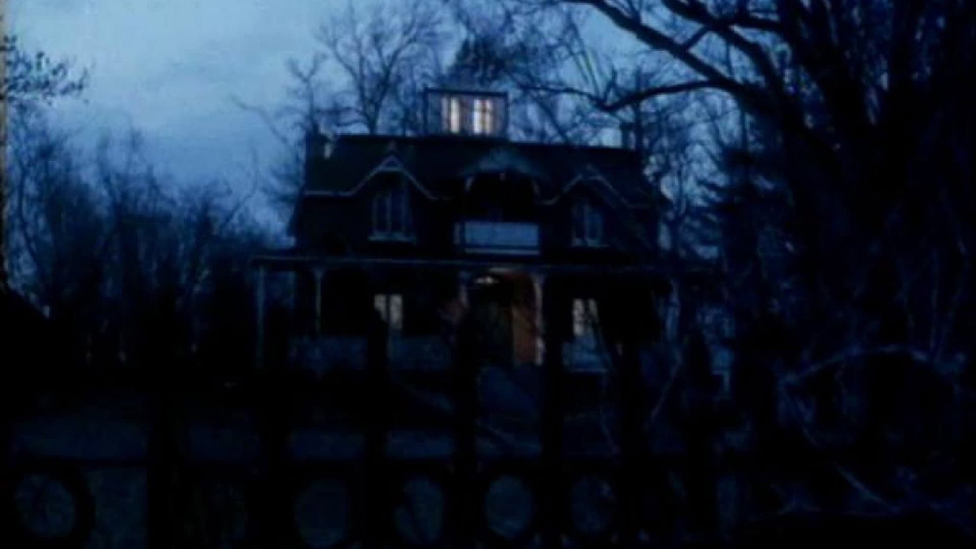 Amityville - Il ritorno - immagine