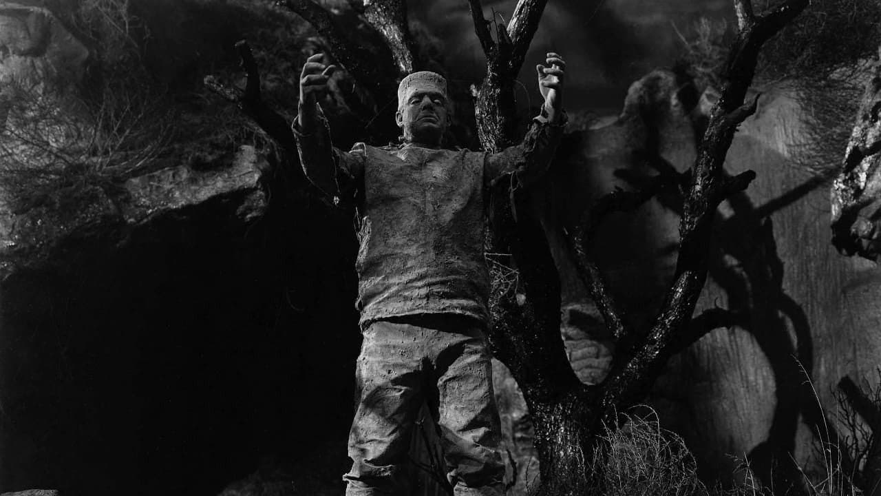 Il terrore di Frankenstein - immagine