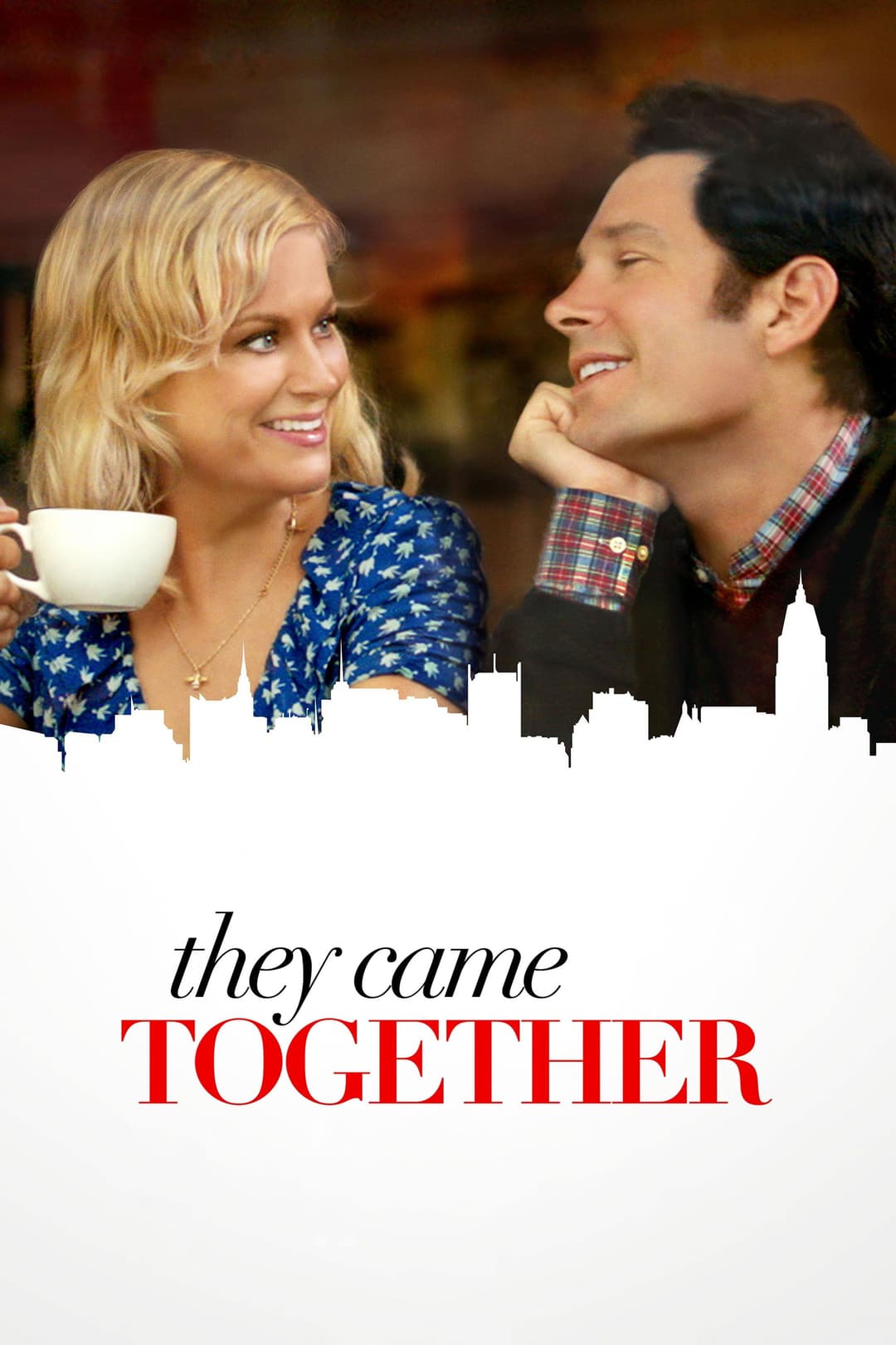Poster di They Came Together
