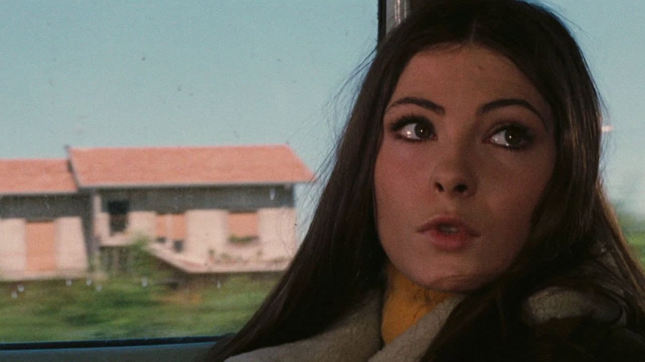 La prima notte di quiete - immagine