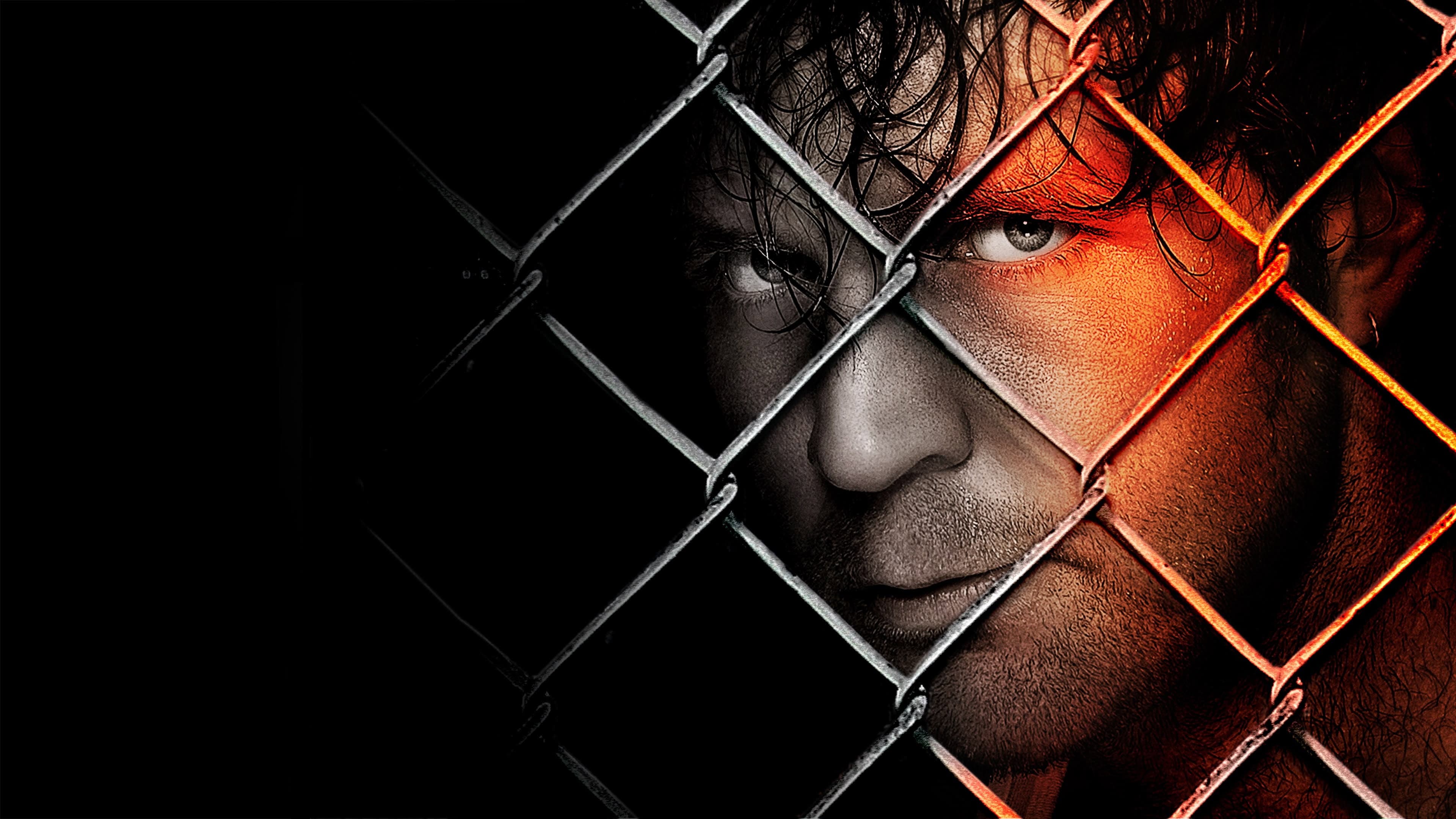 WWE Hell In A Cell 2014 - immagine
