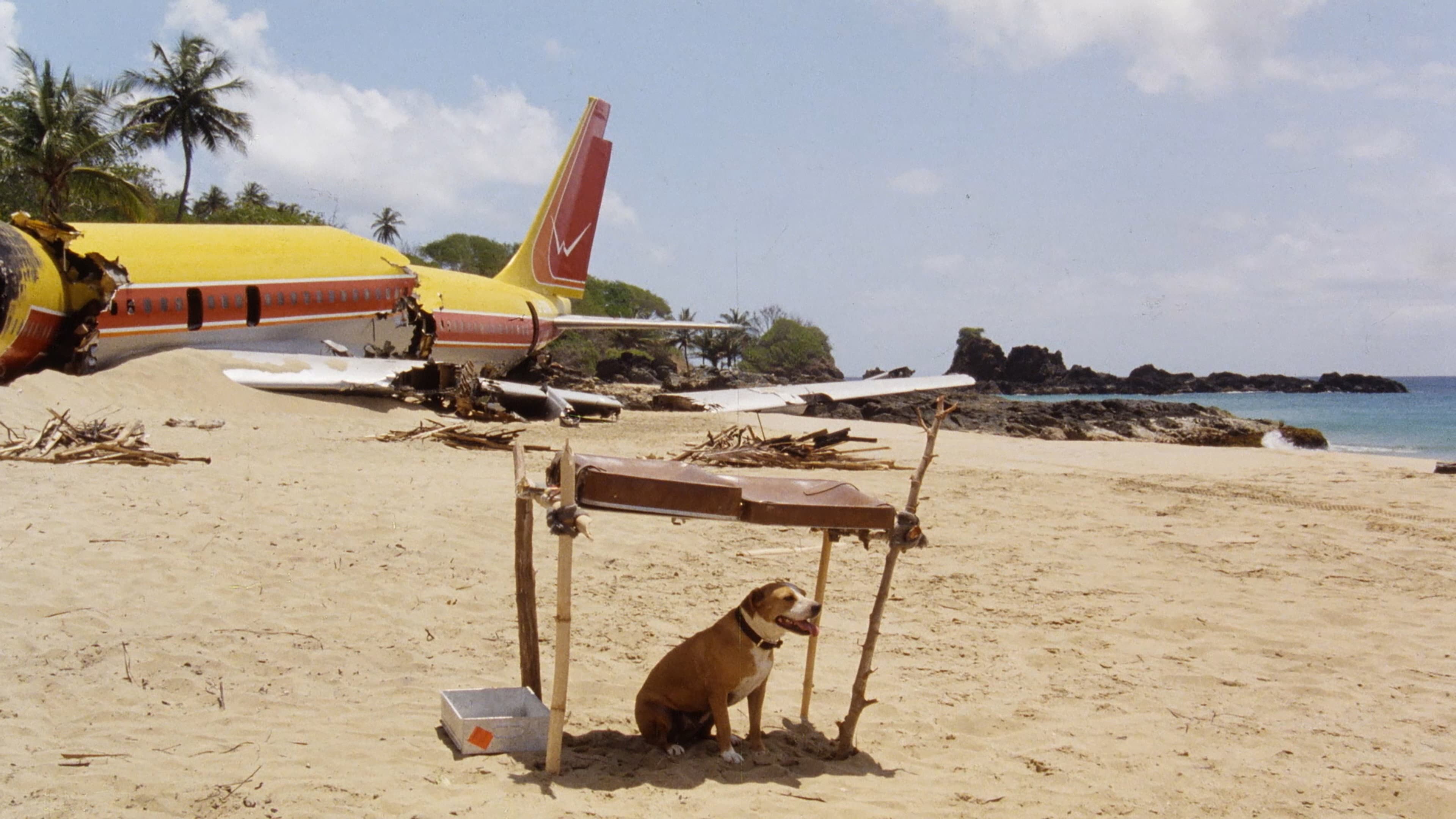 The Last Island - immagine