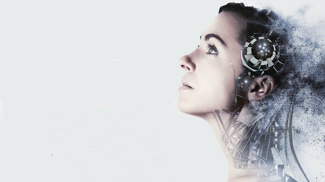 Amelia 2.0 - immagine