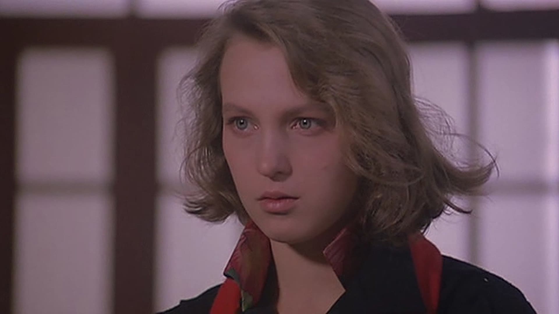 Hanna D. - La ragazza del Vondel Park - immagine