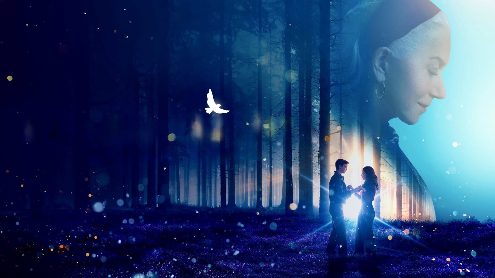 Wonder: White Bird - immagine