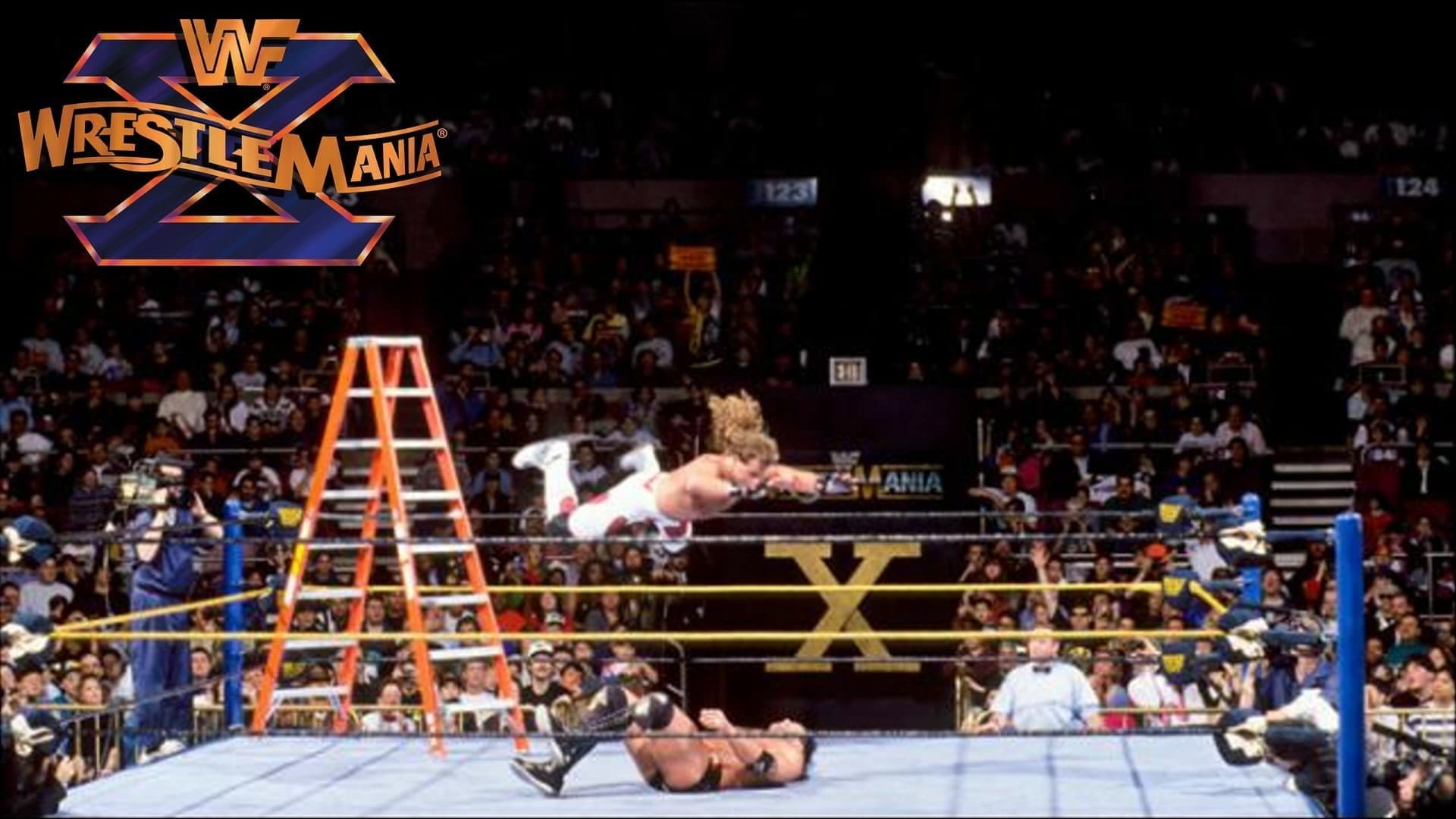 WWE WrestleMania X - immagine