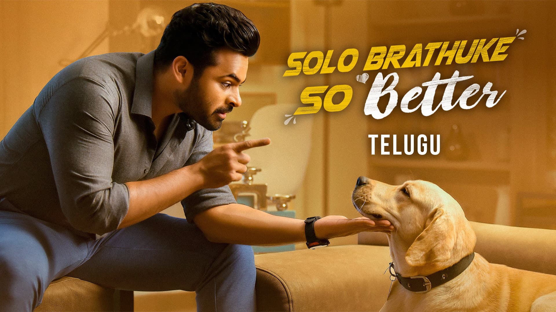 సోలో బ్రతుకే సో బెటర్ - immagine