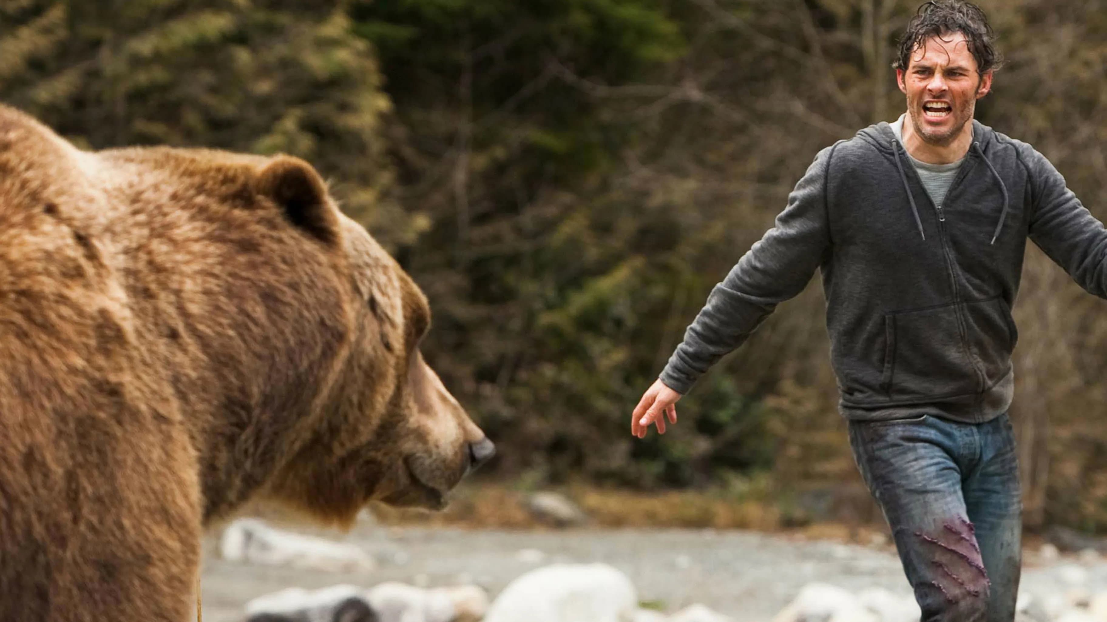 Labirinto dei Grizzly - immagine
