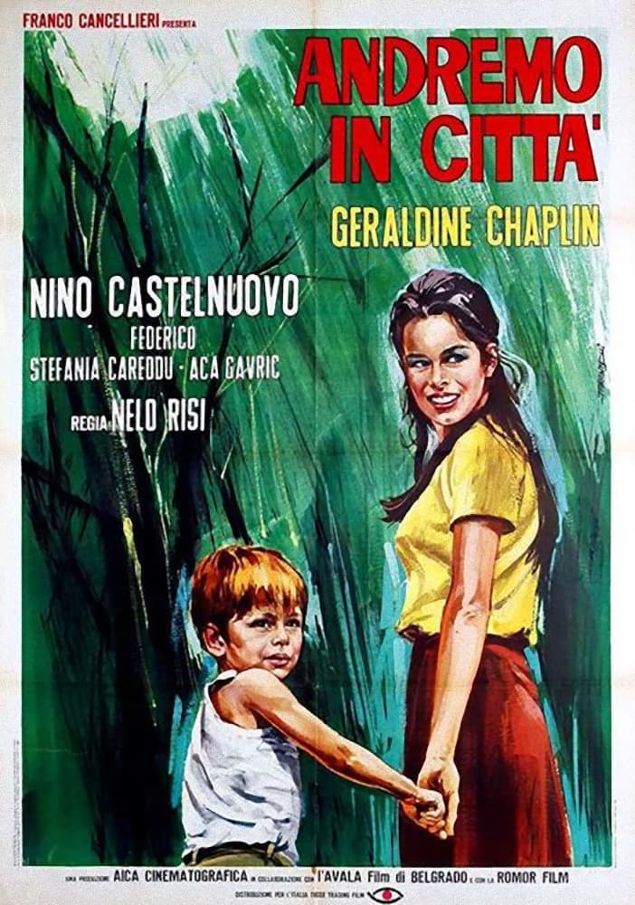 Poster di Andremo in città
