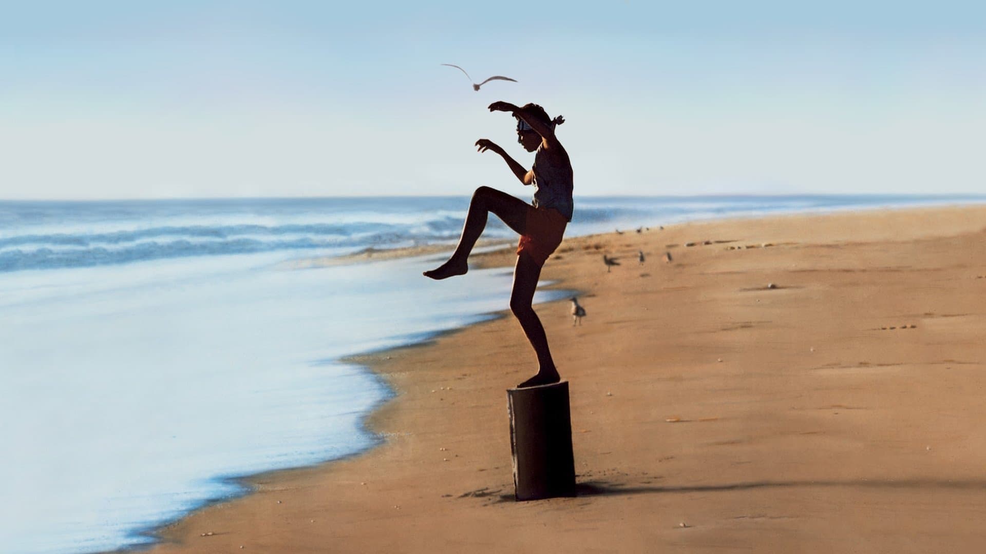 Per vincere domani - The Karate Kid - immagine