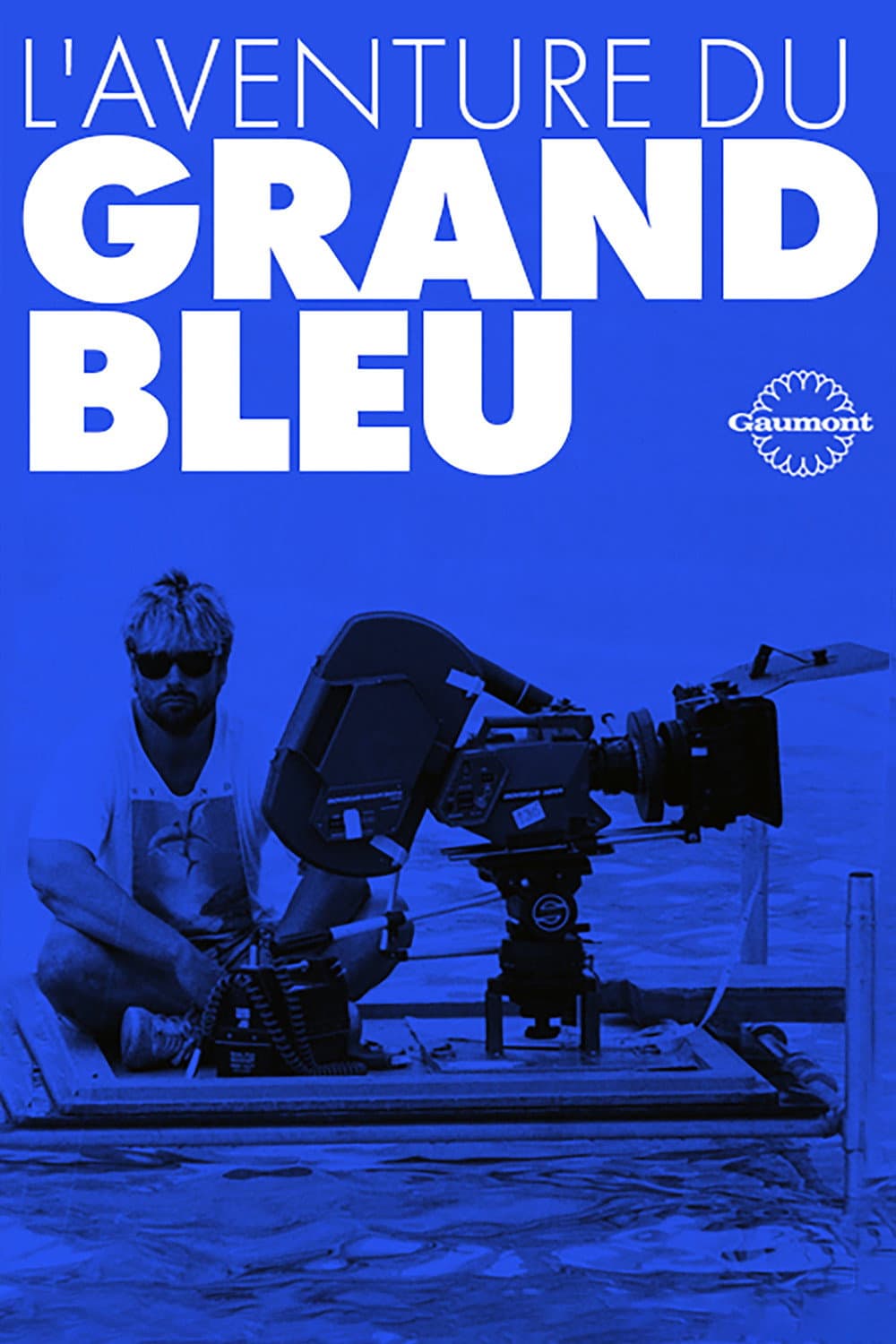 Poster di L'Aventure du Grand Bleu