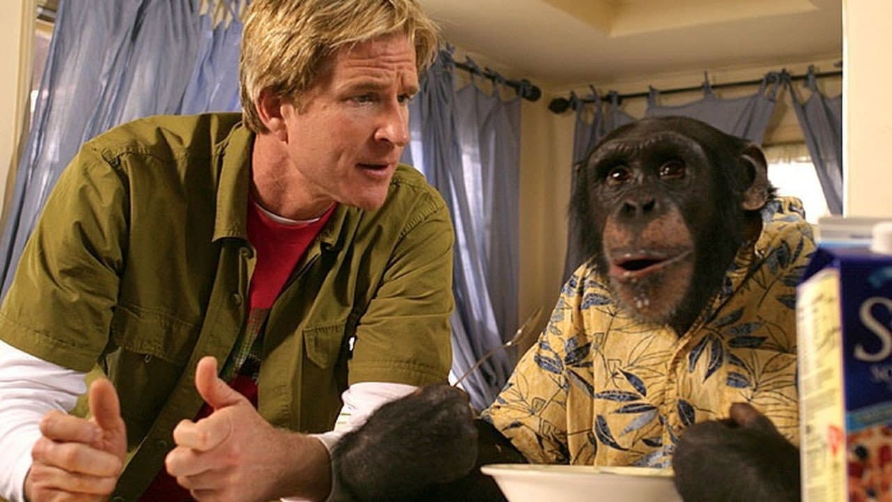 Funky Monkey - immagine