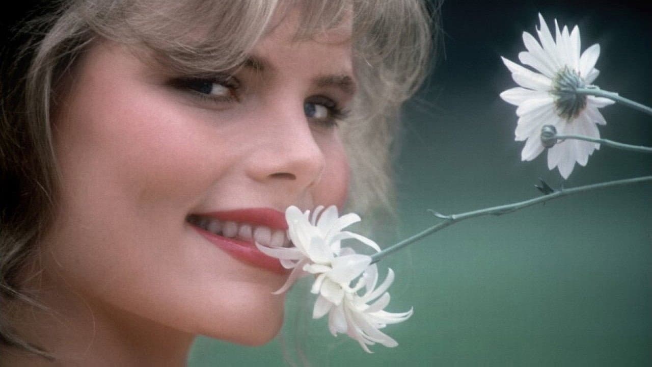 Star 80 - immagine