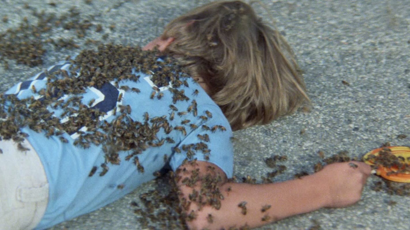 Swarm - Lo sciame che uccide - immagine