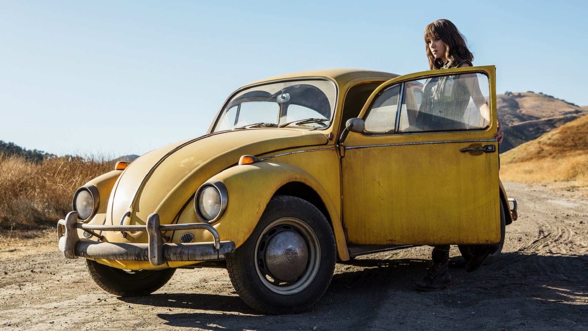 Bumblebee - immagine