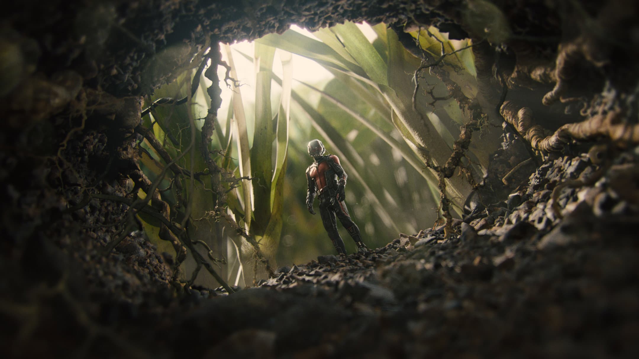 Ant-Man - immagine