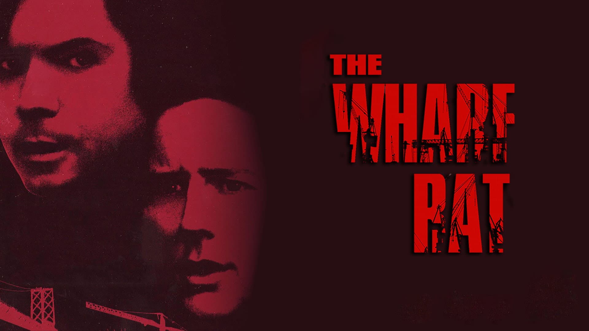 The Wharf Rat - immagine