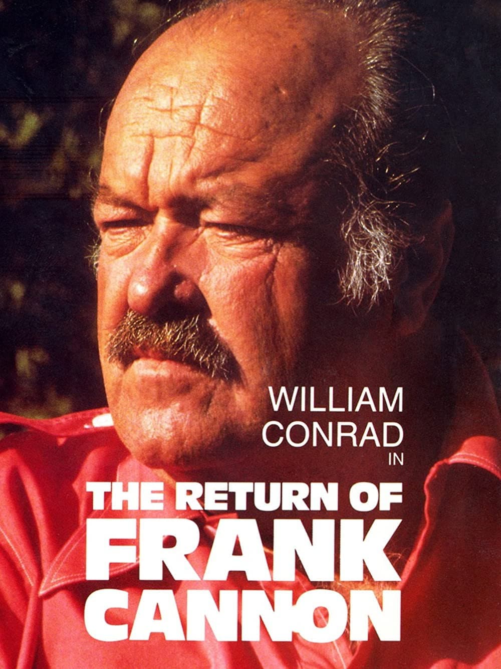 Poster di The Return of Frank Cannon