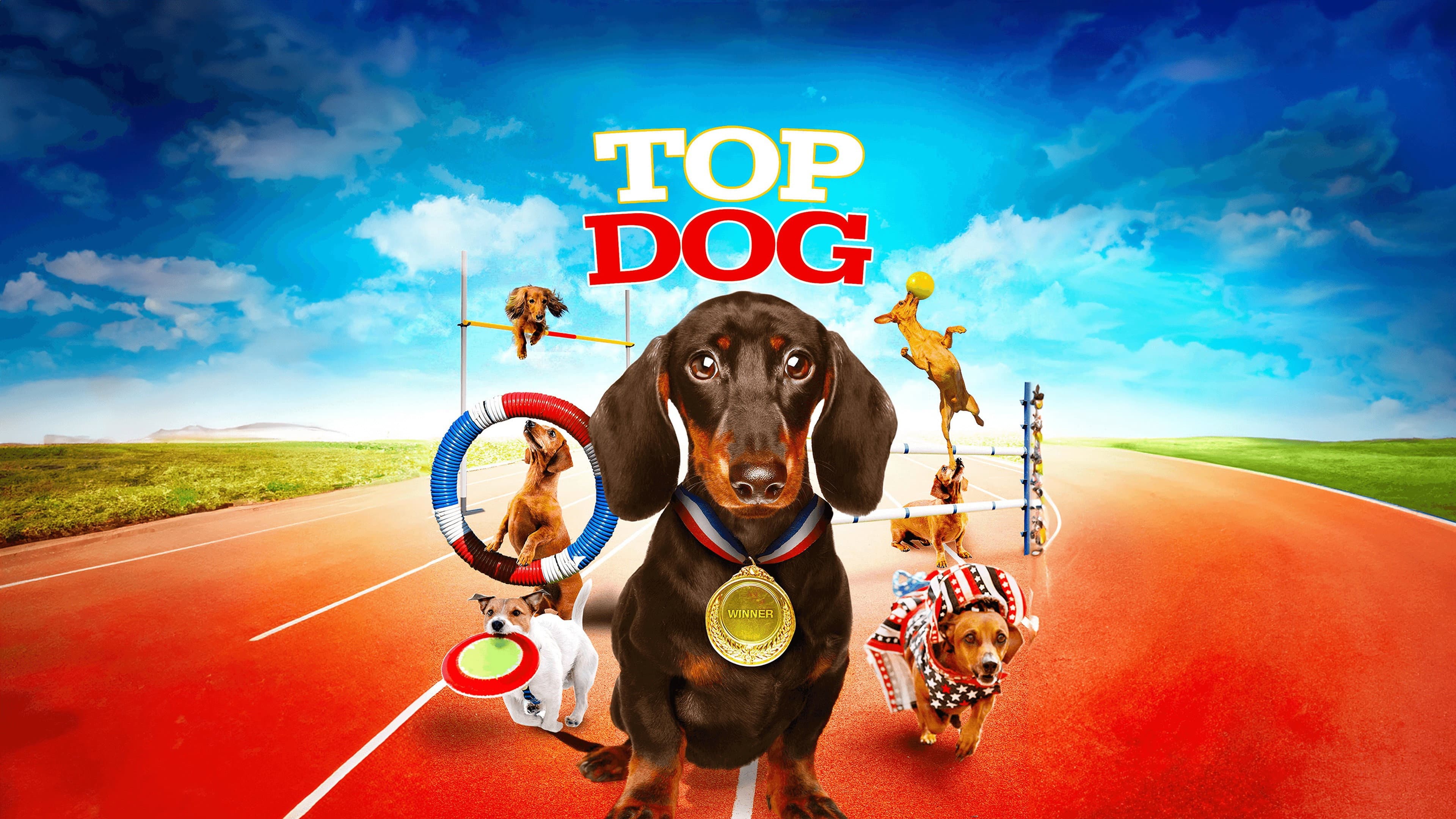 Wiener Dog Internationals - immagine