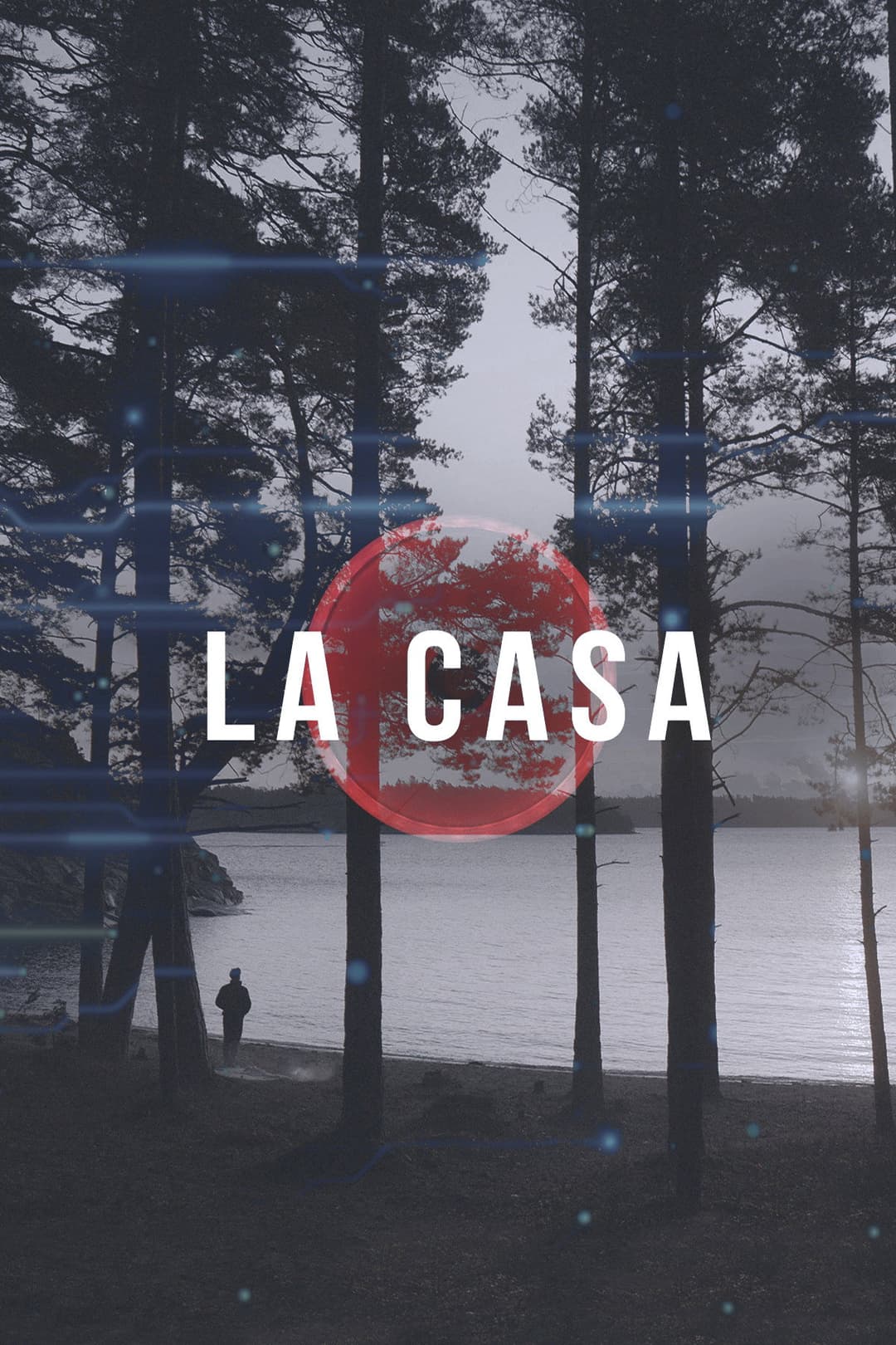 Poster di La casa