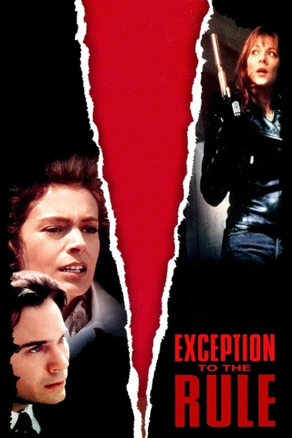 Poster di Exception to the Rule