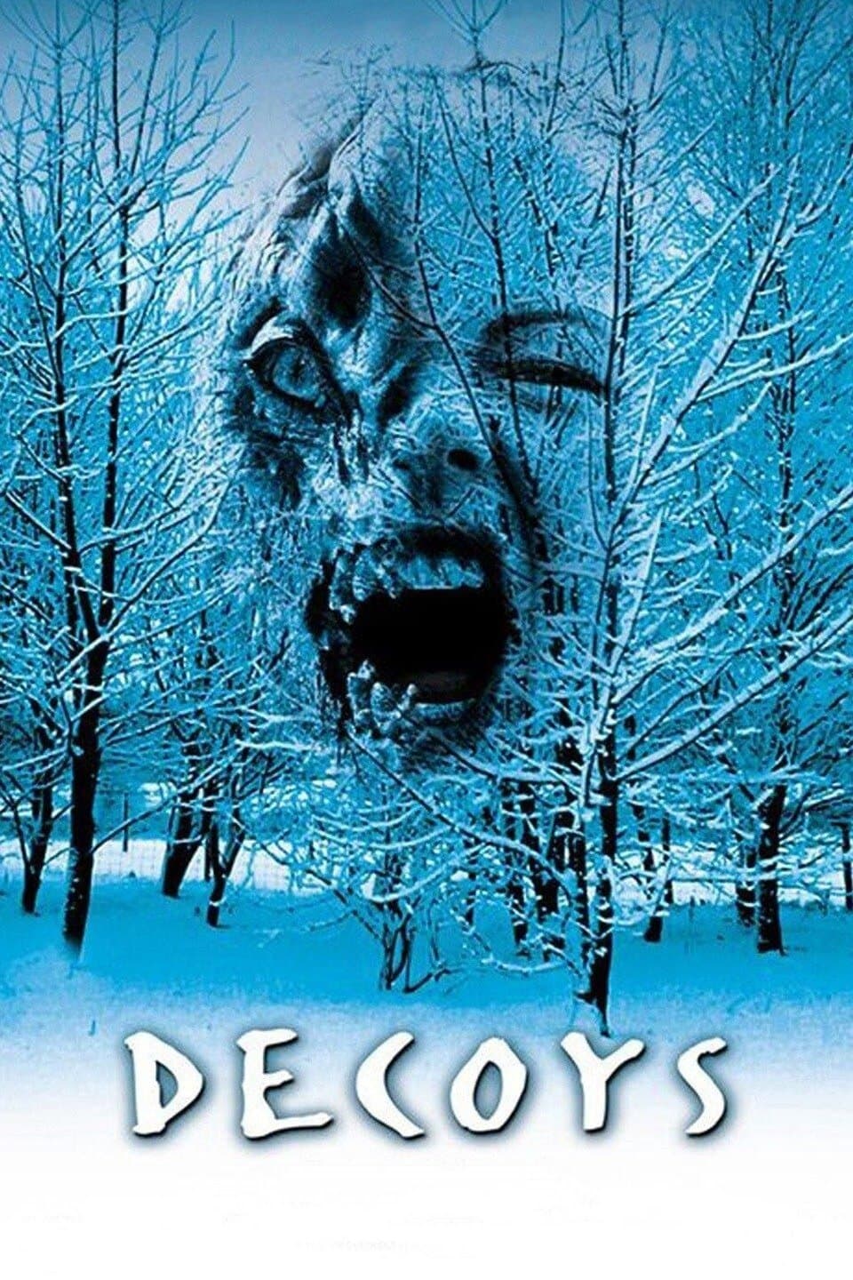 Poster di Decoys