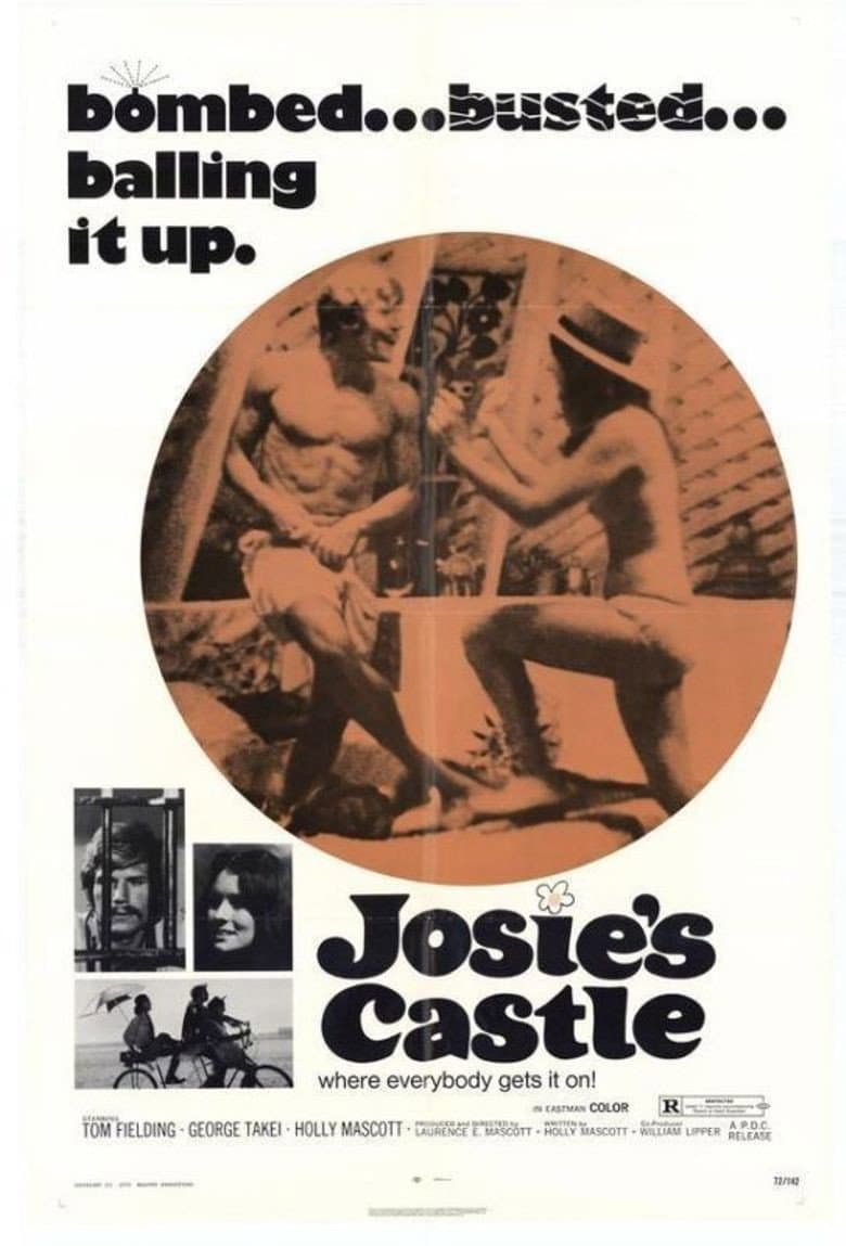 Poster di Josie's Castle