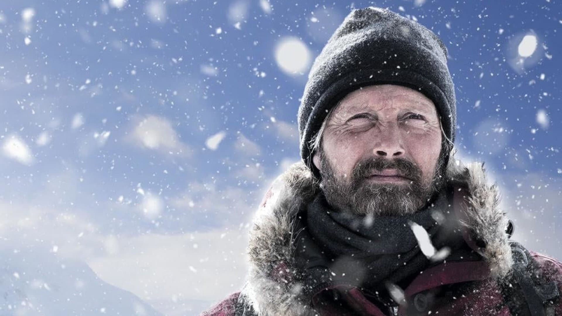 Arctic - immagine