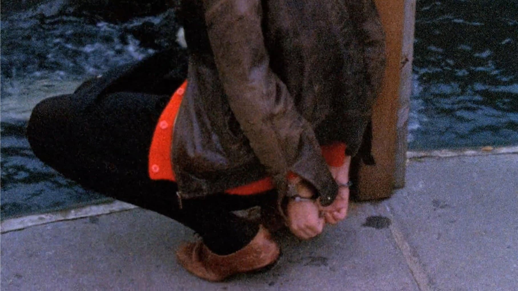 The Pleasure of Being Robbed - immagine