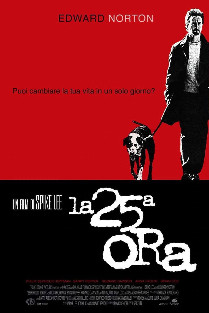Poster di La 25ª ora