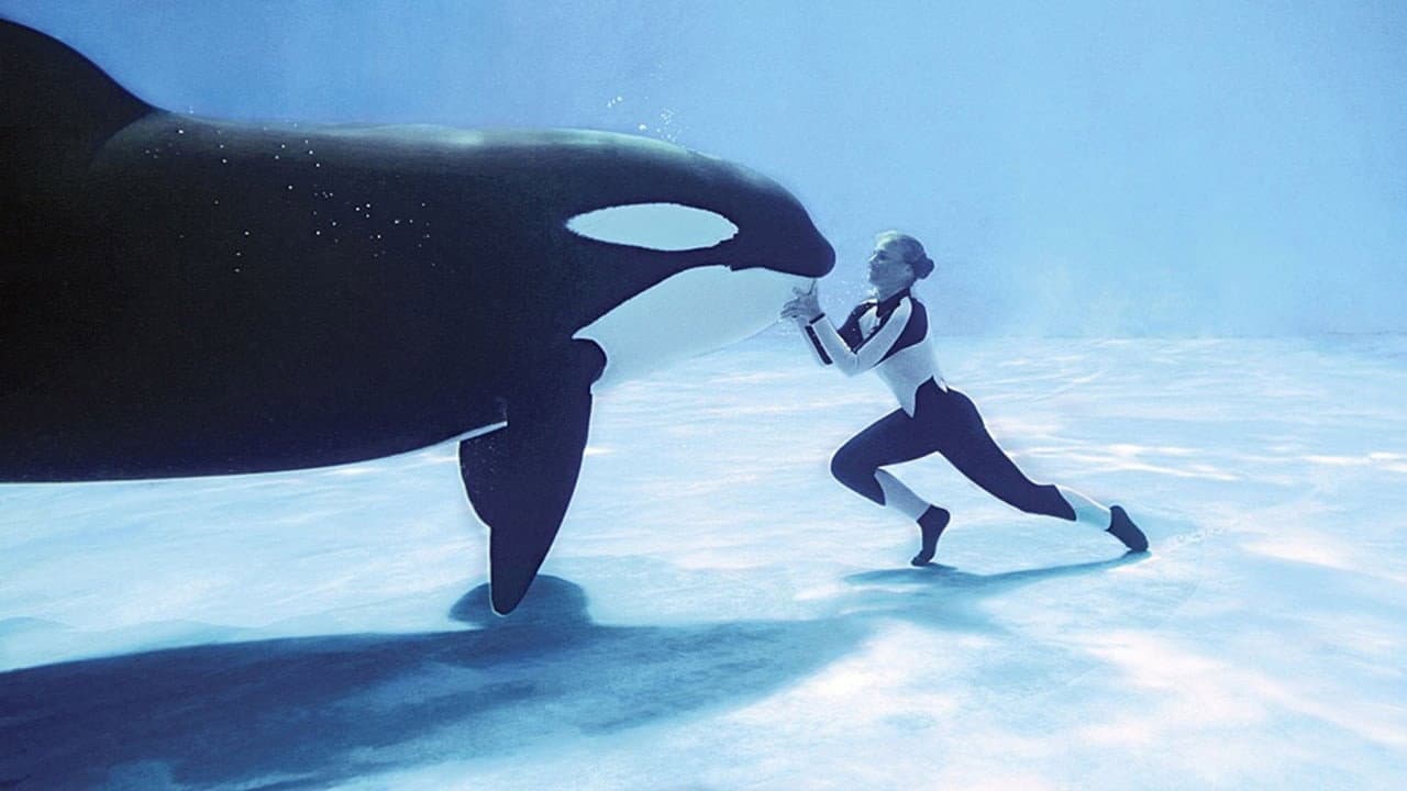 Blackfish - immagine