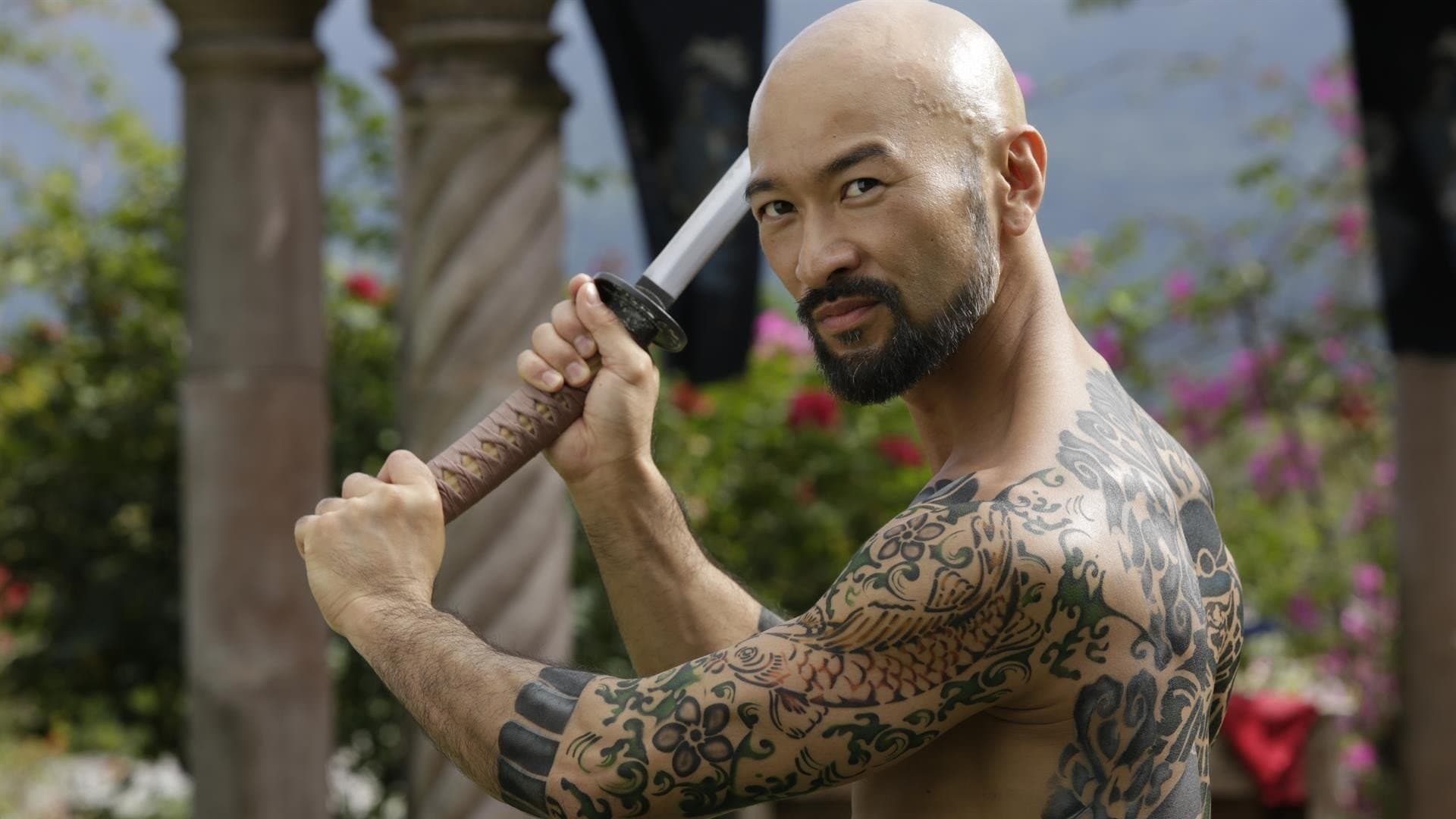 Falcon Rising - immagine