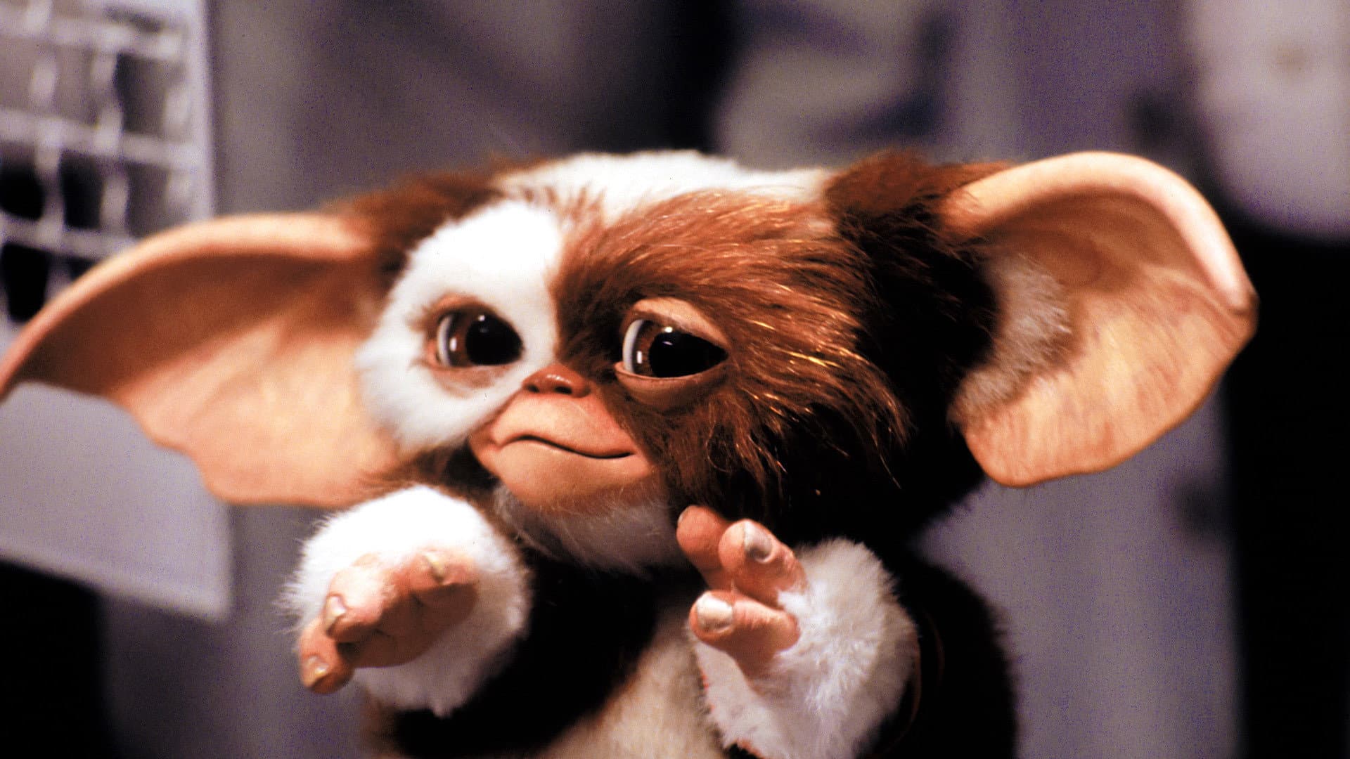 Gremlins 2 - La nuova stirpe - immagine
