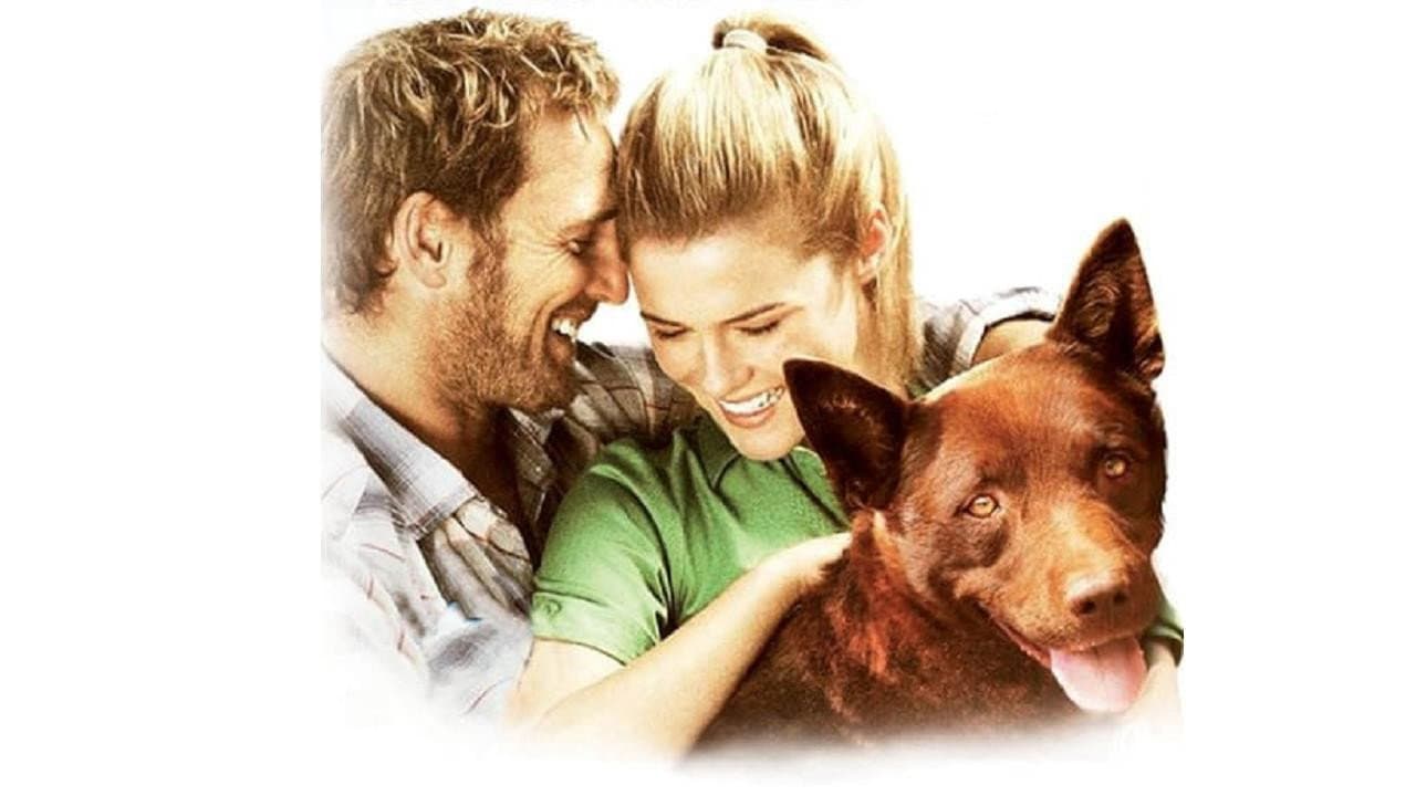 Red Dog - immagine