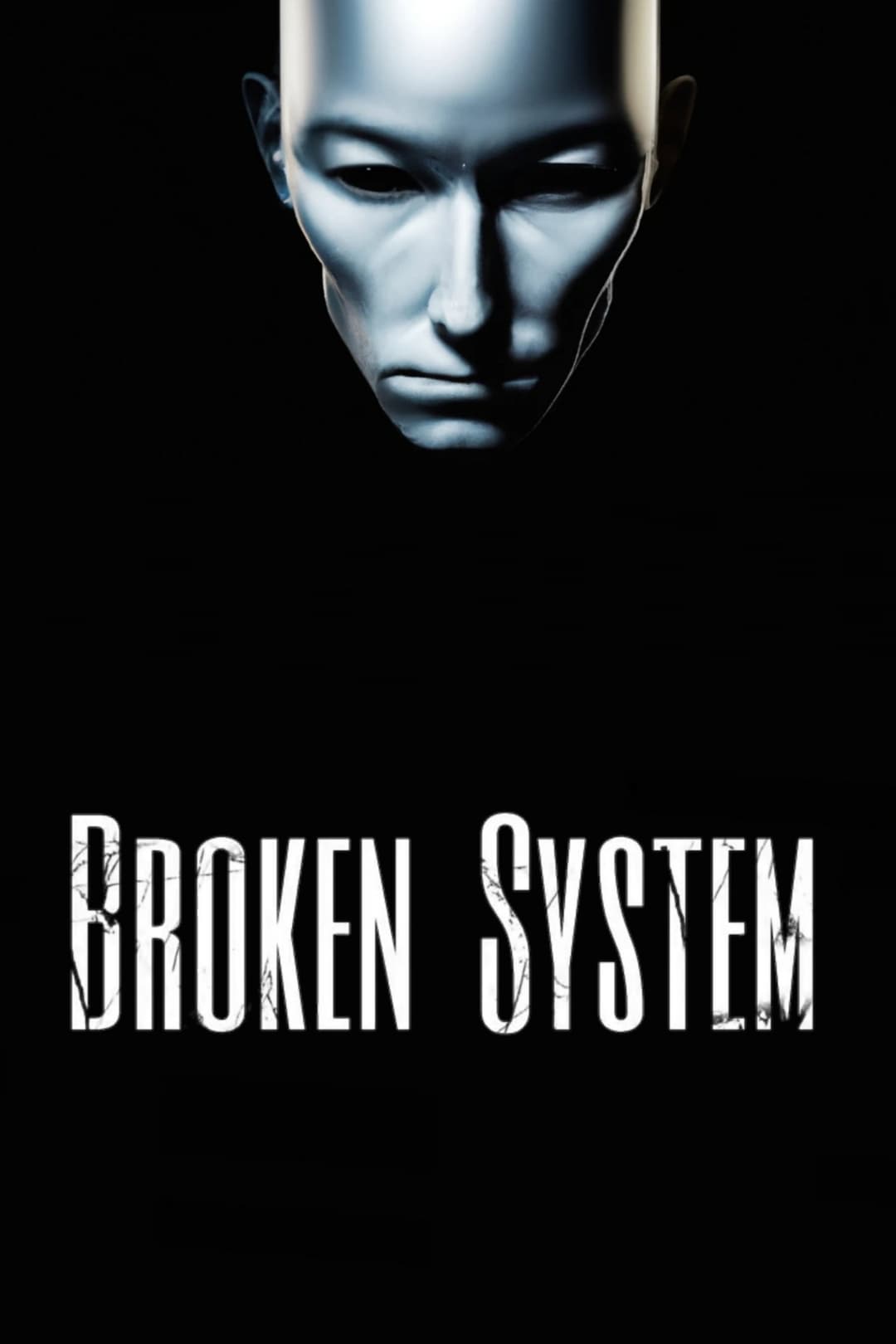 Poster di Broken System