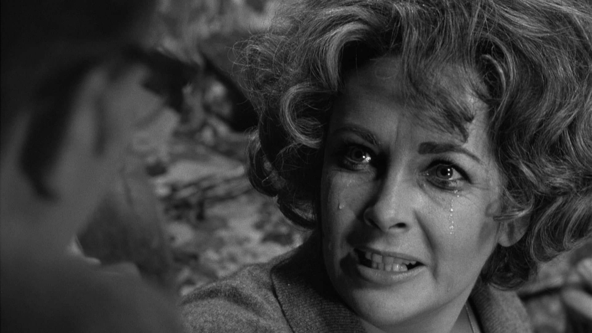 Chi ha paura di Virginia Woolf? - immagine