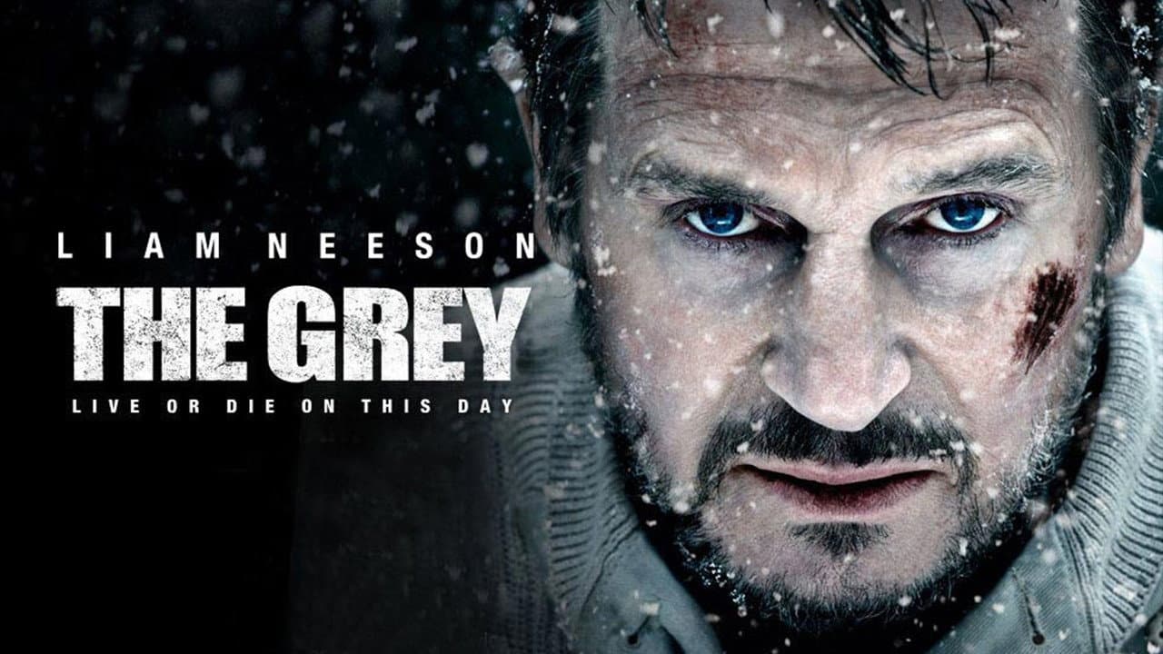 The Grey - immagine