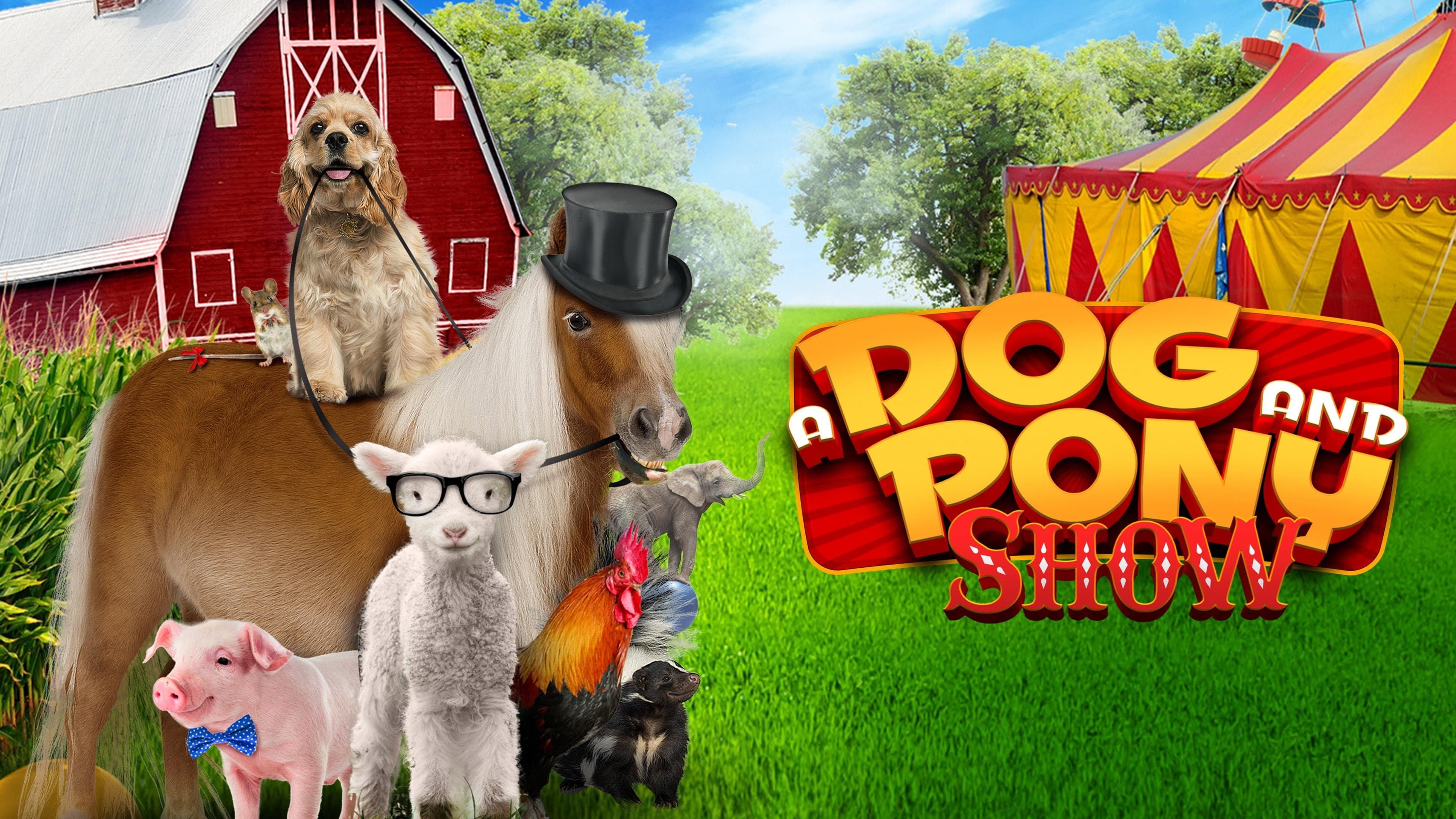 Dog & Pony Show - immagine