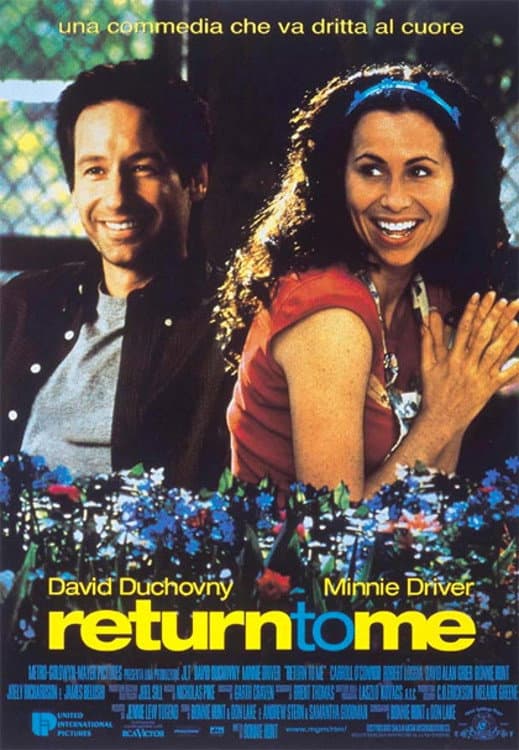 Poster di Return to Me