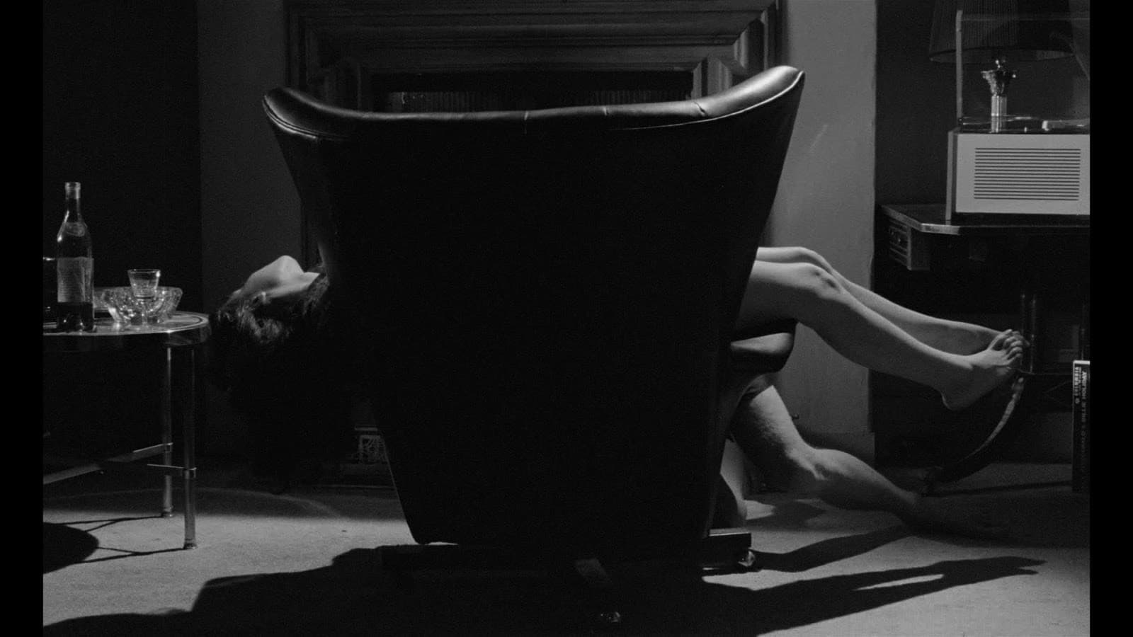 Il servo - immagine