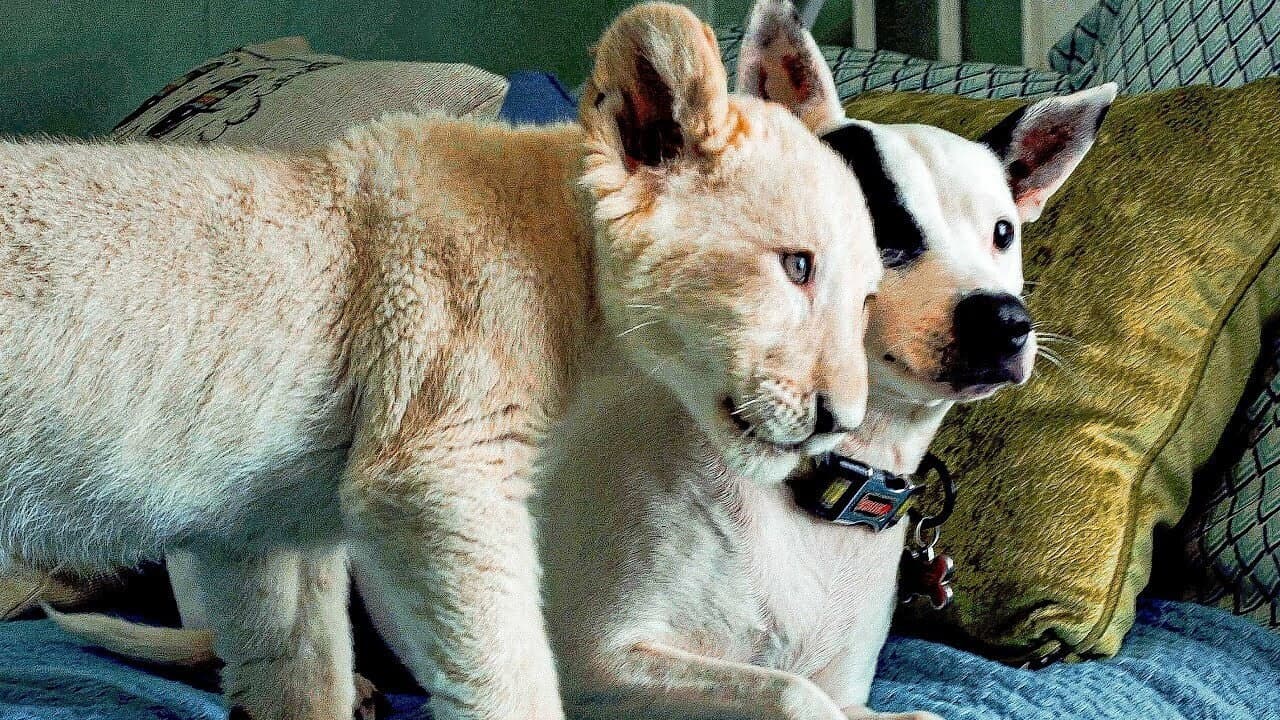 Lena e Snowball - immagine