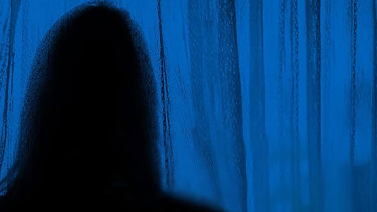 The Girl Next Door - immagine